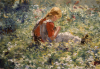 Evert Pieters art print