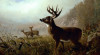 Arthur Fitzwilliam Tait art print