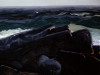 George Wesley Bellows art print