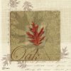 Tandi Venter art print
