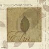 Tandi Venter art print