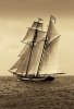 Frederick J. LeBlanc art print