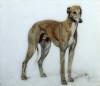 Cecil Aldin art print