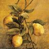 Linda Thompson art print