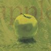 Tandi Venter art print