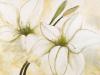Heidi Gerstner art print