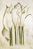 Heidi Gerstner art print