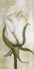 Heidi Gerstner art print
