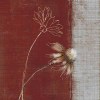 Tandi Venter art print