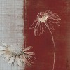 Tandi Venter art print