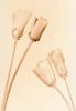 John Reed art print