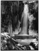Owen O. Tudur art print