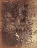John Dillwyn Llewelyn art print