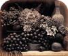 Roger Fenton art print