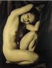 Rosalind Maingot art print