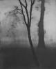 Alvin Langdon Coburn art print