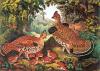 Currier & Ives art print