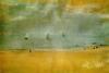 Edgar Degas art print