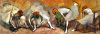 Edgar Degas art print