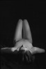 C. Wiseman art print