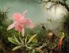 Martin Johnson Heade art print