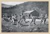 Winslow Homer art print