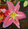 Henry Gauci art print