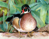 Carol Taylor art print