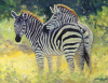 Gill Bustamante B.A. art print