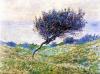 Claude Monet art print