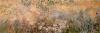 Claude Monet art print