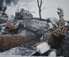 P. Coote art print