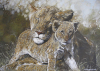 Gary Roberts art print