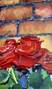 Charro Wood art print