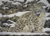 Gary Roberts art print