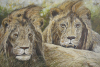 Gary Roberts art print