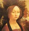 Leonardo da Vinci art print