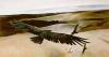 Andrew Wyeth art print
