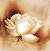 Betty Jansma art print