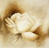 Betty Jansma art print