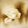 Betty Jansma art print