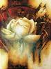 Betty Jansma art print