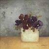 Anouska Vaskebova art print