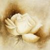 Betty Jansma art print
