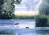 Franz Heigl art print