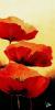 Jettie Roseboom art print