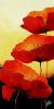 Jettie Roseboom art print