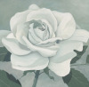 Franz Heigl art print