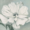 Franz Heigl art print