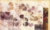 Hersh art print